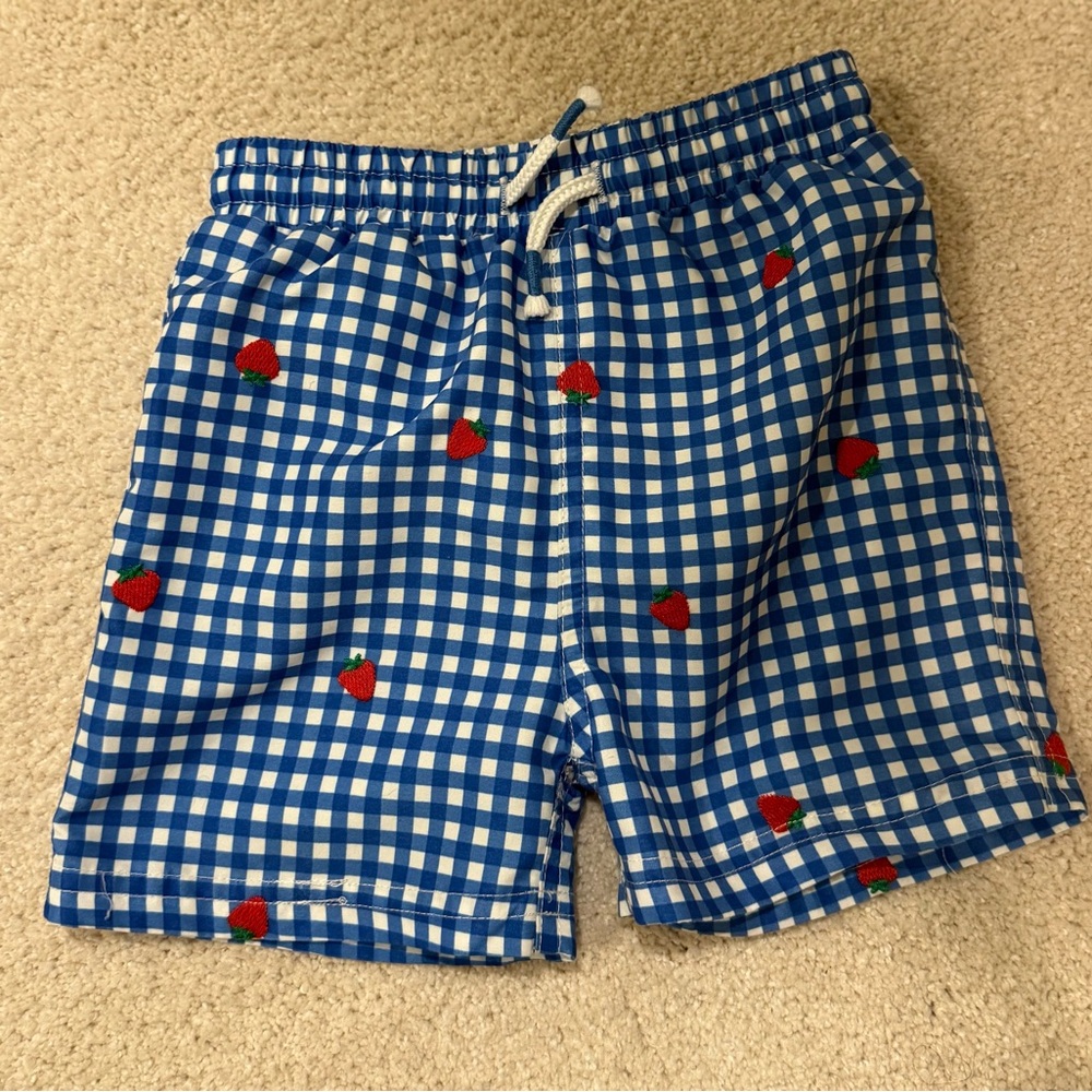 Baby Boden Blue Gingham Kids Swim Trunks